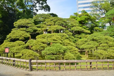 DSC_3383 (Large).JPG